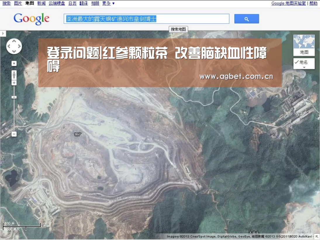 登录问题|红参颗粒茶 改善脑缺血性障碍(图3) 游戏账户