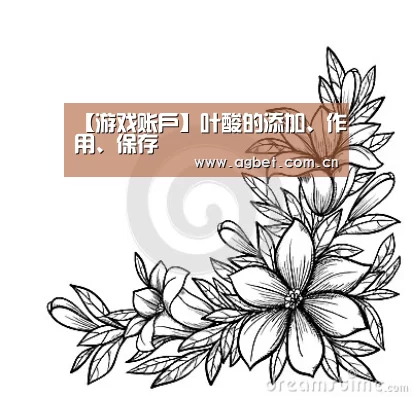 【游戏账户】叶酸的添加、作用、保存(图2) 登录问题