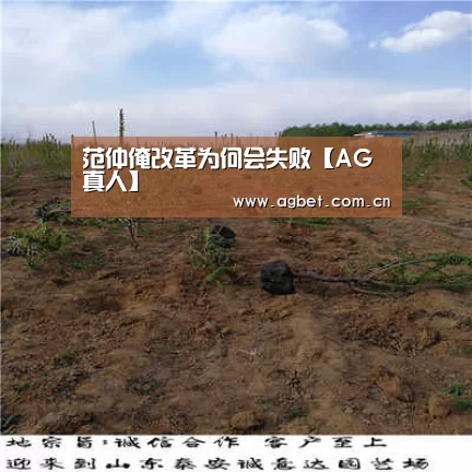 范仲淹改革为何会失败【AG真人】(图1) 软件下载