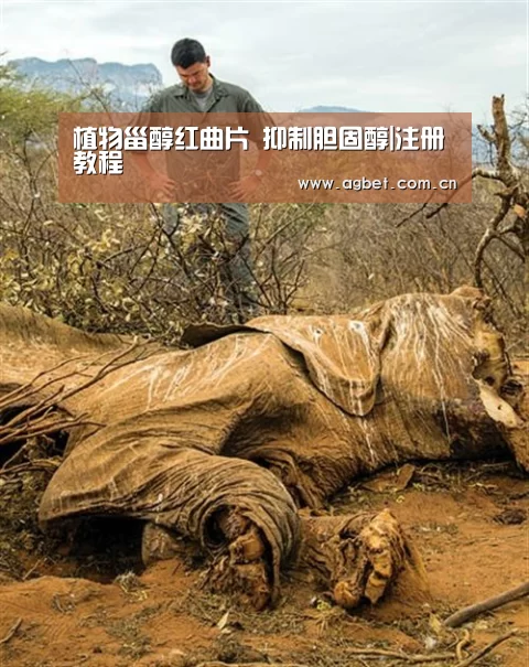 游戏账户
