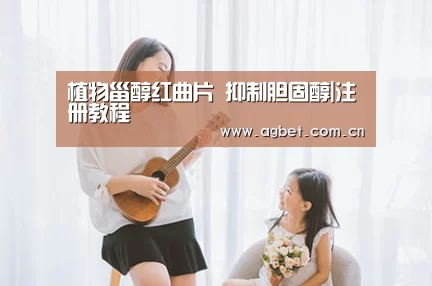 游戏账户