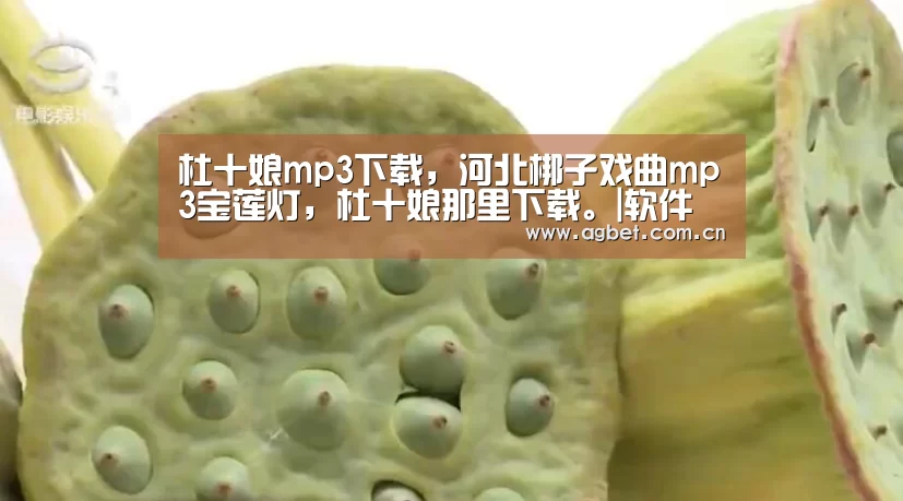 杜十娘mp3下载,河北梆子戏曲mp3宝莲灯,杜十娘那里下载。|软件下载(图2) 游戏账户