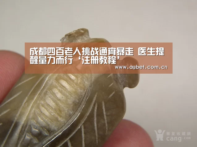 成都四百老人挑战通宵暴走 医生提醒量力而行‘注册教程’(图1) 软件下载